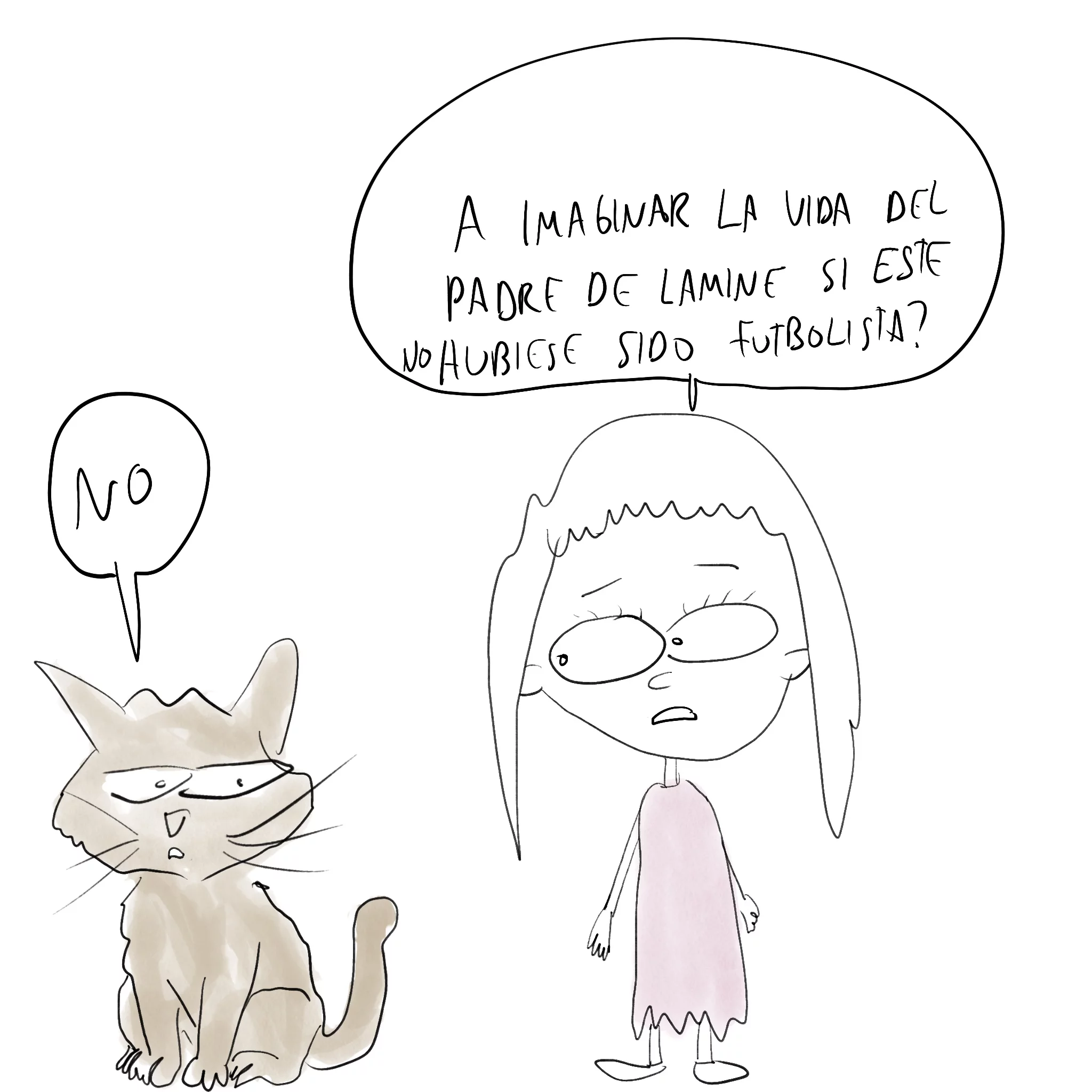gato